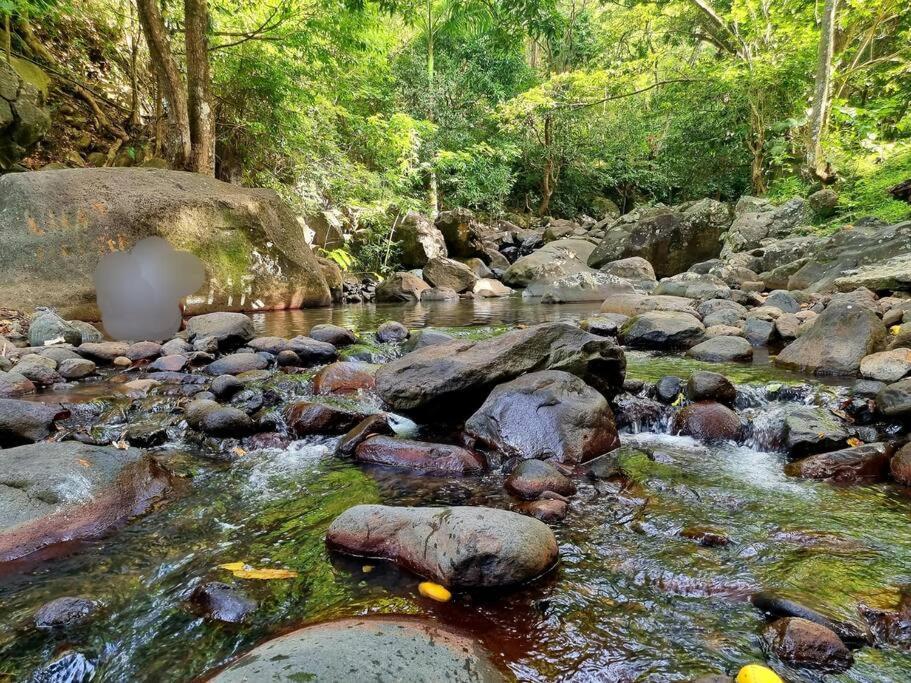 L'Ilet Paradise Pointe-Noire Dış mekan fotoğraf