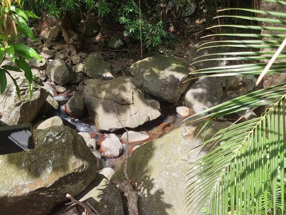 L'Ilet Paradise Pointe-Noire Dış mekan fotoğraf