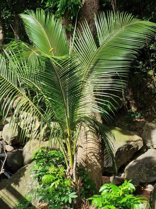 L'Ilet Paradise Pointe-Noire Dış mekan fotoğraf